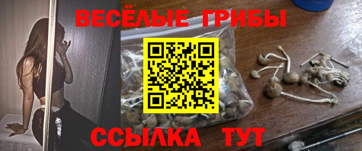 Галлюциногенные грибы Psilocybine cubensis  где можно купить наркотик  Борзя  Галлюциногенные грибы GOLDEN TEACHER  Вход с VPN 